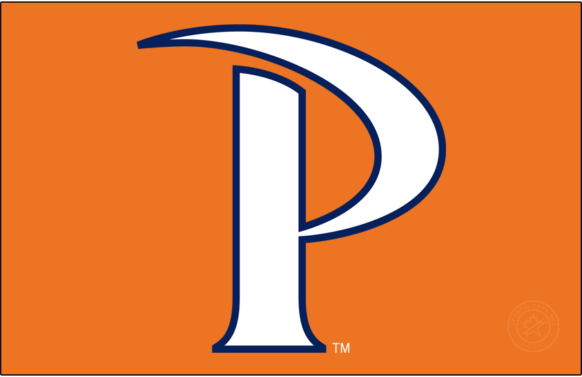 Pepperdine Waves 2012-Pres Alt on Dark Logo diy DTF decal sticker